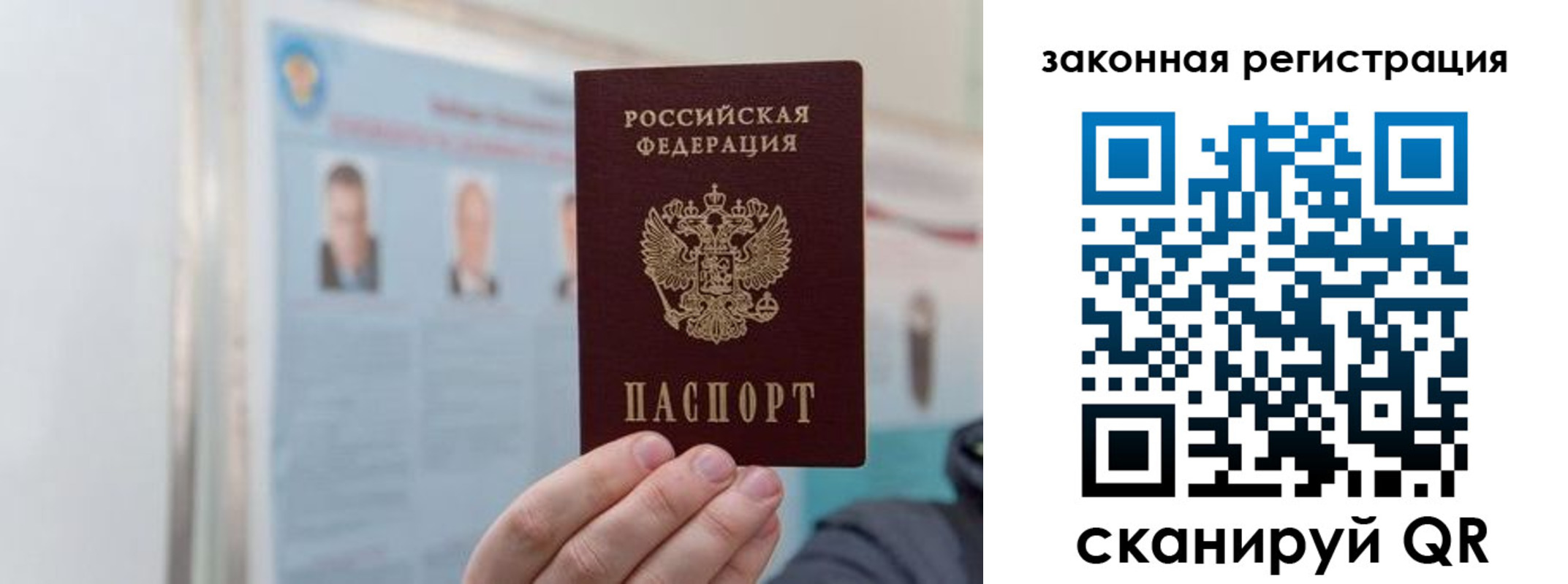 прописка законно в Королёве